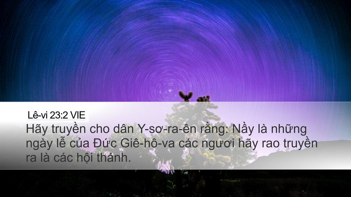 Lê-vi 23:2 VIE Bible Verse Image