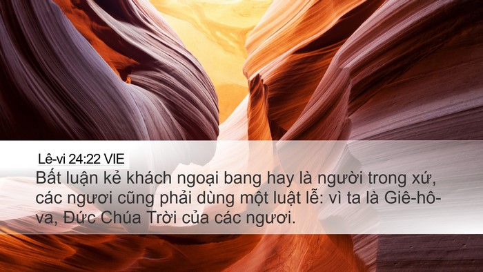Lê-vi 24:22 VIE Bible Verse Image