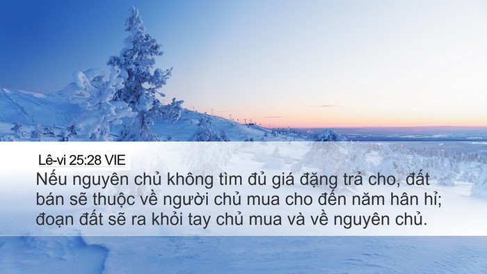Lê-vi 25:28 VIE Bible Verse Image