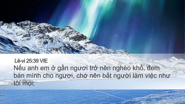 Lê-vi 25:39 VIE Bible Verse Image