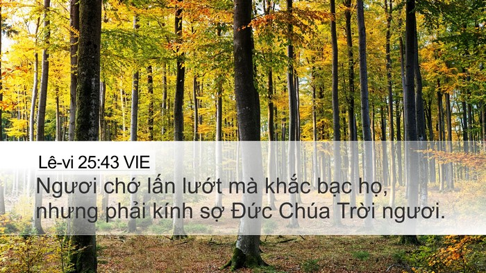 Lê-vi 25:43 VIE Bible Verse Image