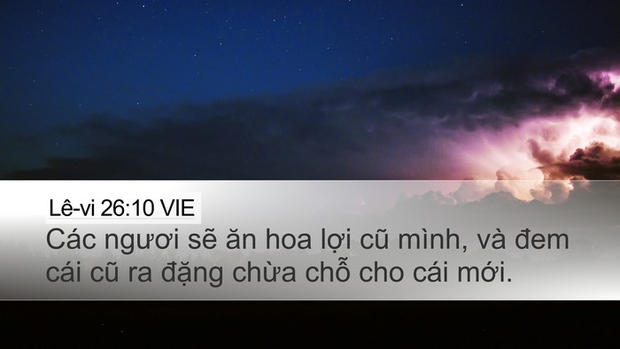 Lê-vi 26:10 VIE Bible Verse Image