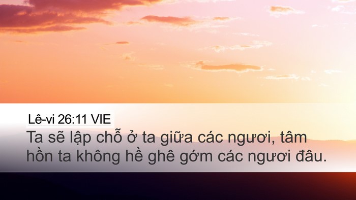 Lê-vi 26:11 VIE Bible Verse Image