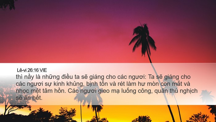 Lê-vi 26:16 VIE Bible Verse Image