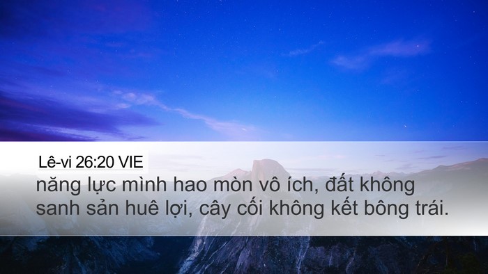 Lê-vi 26:20 VIE Bible Verse Image