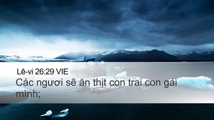 Lê-vi 26:29 VIE Bible Verse Image