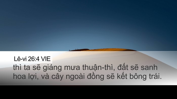 Lê-vi 26:4 VIE Bible Verse Image
