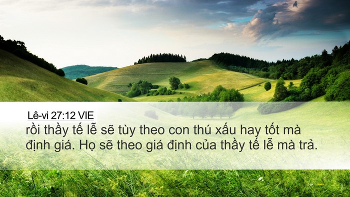 Lê-vi 27:12 VIE Desktop Wallpaper - rồi thầy tế lễ sẽ tùy theo con thú - Desktop Bible Verse Wallpaper