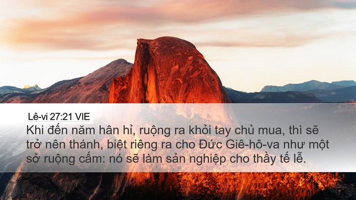 Lê-vi 27:21 VIE Bible Verse Image