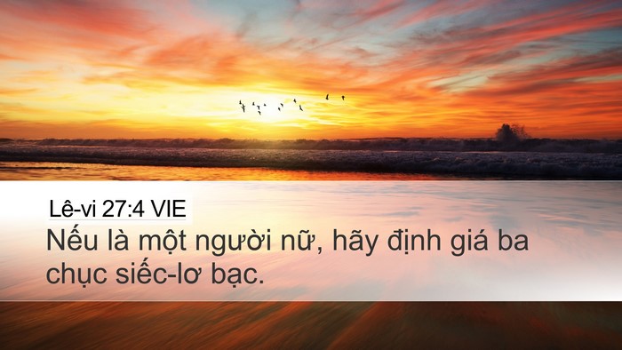 Lê-vi 27:4 VIE Desktop Wallpaper - Nếu là một người nữ, hãy định giá - Desktop Bible Verse Wallpaper