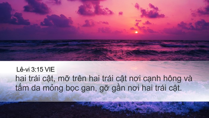 Lê-vi 3:15 VIE Bible Verse Image