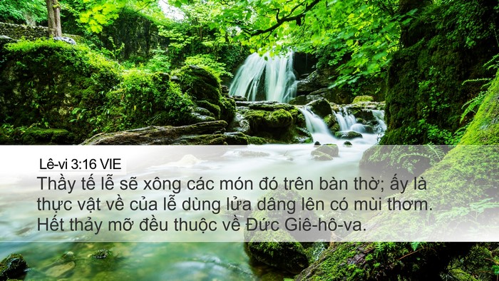 Lê-vi 3:16 VIE Bible Verse Image