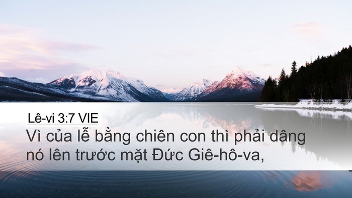 Lê-vi 3:7 VIE Desktop Wallpaper - Vì của lễ bằng chiên con thì phải - Desktop Bible Verse Wallpaper