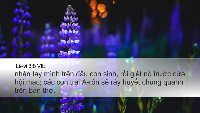 Lê-vi 3:8 VIE Bible Verse Image