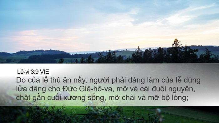 Lê-vi 3:9 VIE Bible Verse Image