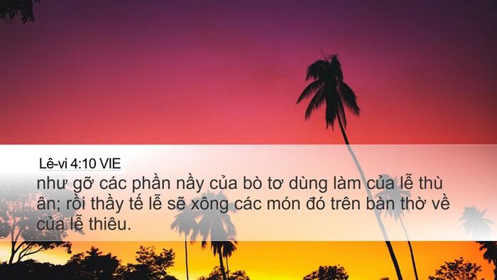 Lê-vi 4:10 VIE Desktop Wallpaper - như gỡ các phần nầy của bò tơ dùng - Desktop Bible Verse Wallpaper