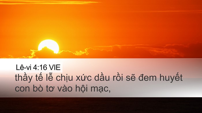 Lê-vi 4:16 VIE Bible Verse Image