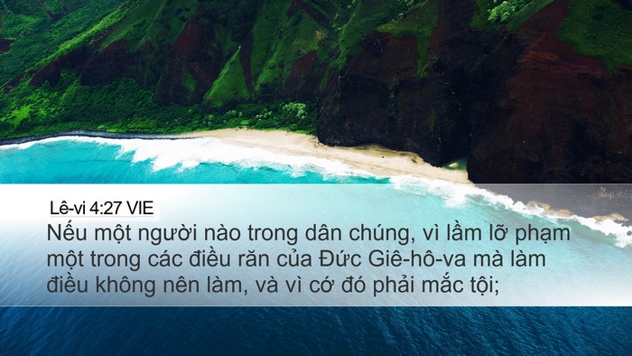 Lê-vi 4:27 VIE Bible Verse Image