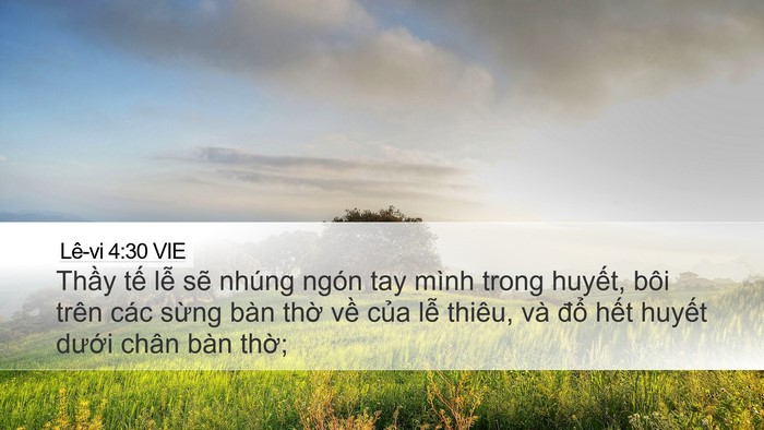 Lê-vi 4:30 VIE Bible Verse Image