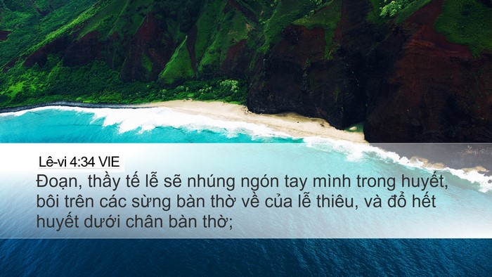 Lê-vi 4:34 VIE Bible Verse Image