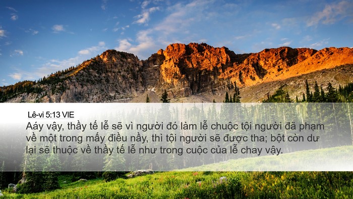 Lê-vi 5:13 VIE Bible Verse Image