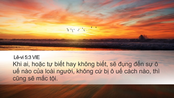Lê-vi 5:3 VIE Desktop Wallpaper - Khi ai, hoặc tự biết hay không biết, - Desktop Bible Verse Wallpaper
