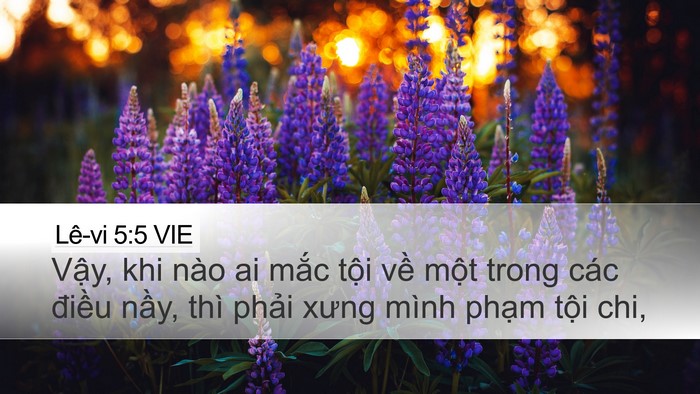 Lê-vi 5:5 VIE Desktop Wallpaper - Vậy, khi nào ai mắc tội về một trong - Desktop Bible Verse Wallpaper