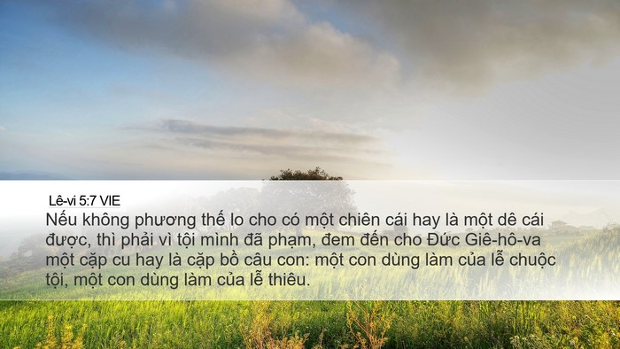 Lê-vi 5:7 VIE Bible Verse Image