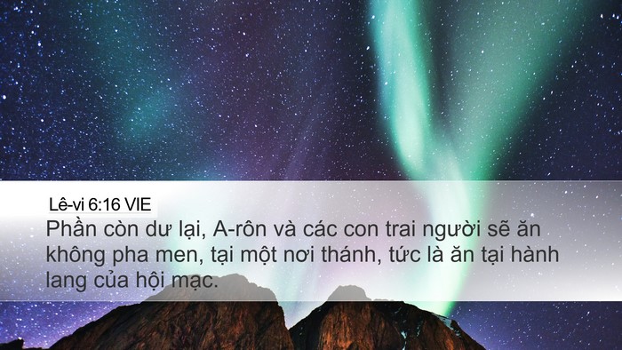 Lê-vi 6:16 VIE Bible Verse Image