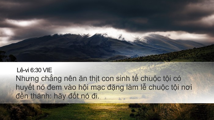 Lê-vi 6:30 VIE Bible Verse Image