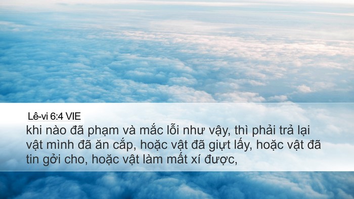 Lê-vi 6:4 VIE Bible Verse Image