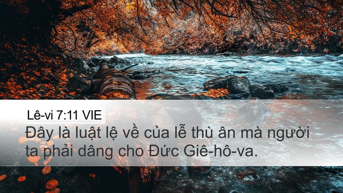 Lê-vi 7:11 VIE Bible Verse Image