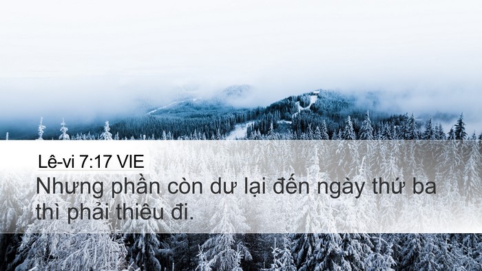 Lê-vi 7:17 VIE Bible Verse Image