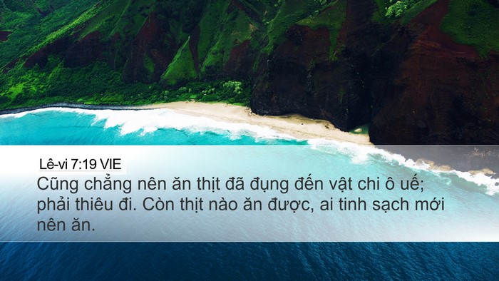 Lê-vi 7:19 VIE Bible Verse Image