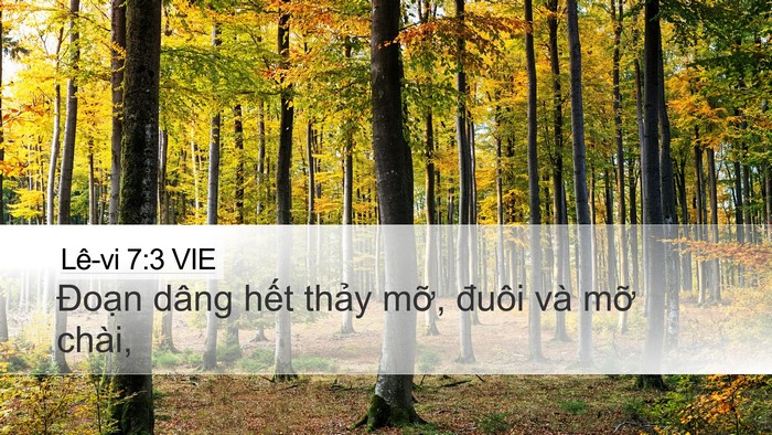 Lê-vi 7:3 VIE Desktop Wallpaper - Đoạn dâng hết thảy mỡ, đuôi và mỡ - Desktop Bible Verse Wallpaper