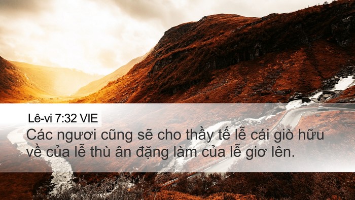 Lê-vi 7:32 VIE Bible Verse Image