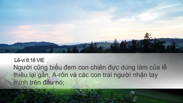 Lê-vi 8:18 VIE Bible Verse Image