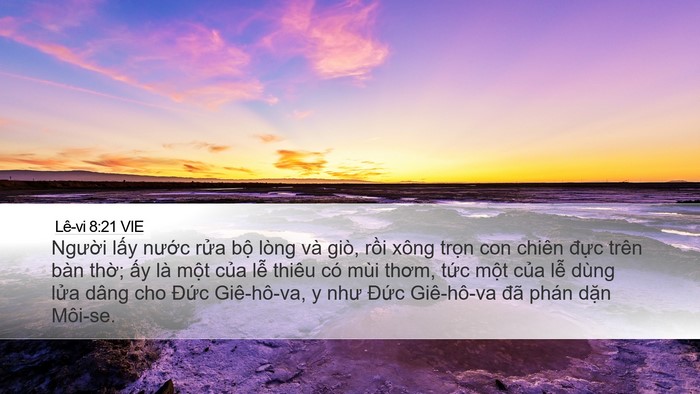 Lê-vi 8:21 VIE Bible Verse Image