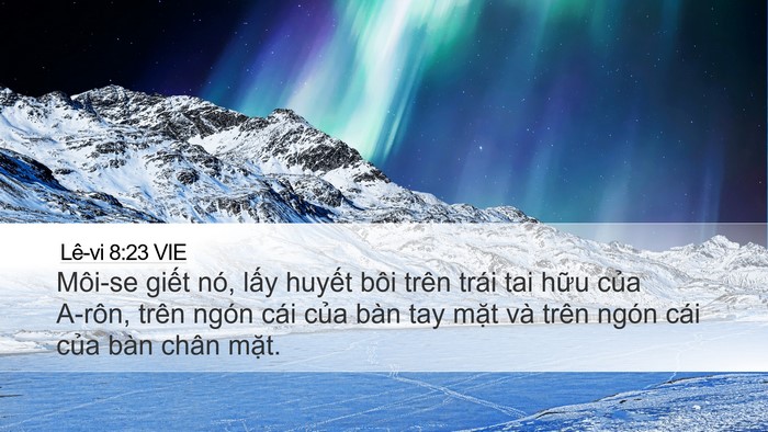 Lê-vi 8:23 VIE Bible Verse Image