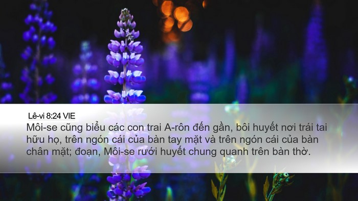 Lê-vi 8:24 VIE Desktop Wallpaper - Môi-se cũng biểu các con trai A-rôn đến - Desktop Bible Verse Wallpaper