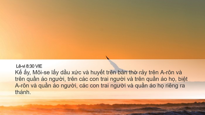 Lê-vi 8:30 VIE Bible Verse Image