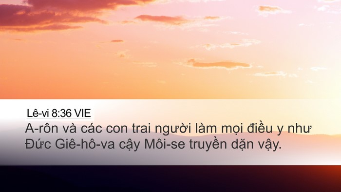Lê-vi 8:36 VIE Bible Verse Image