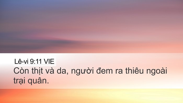 Lê-vi 9:11 VIE Desktop Wallpaper - Còn thịt và da, người đem ra thiêu - Desktop Bible Verse Wallpaper