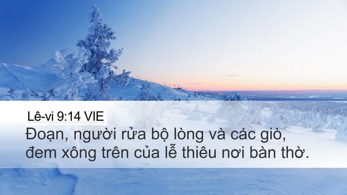Lê-vi 9:14 VIE Desktop Wallpaper - Đoạn, người rửa bộ lòng và các giò, - Desktop Bible Verse Wallpaper