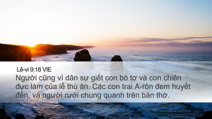 Lê-vi 9:18 VIE Bible Verse Image