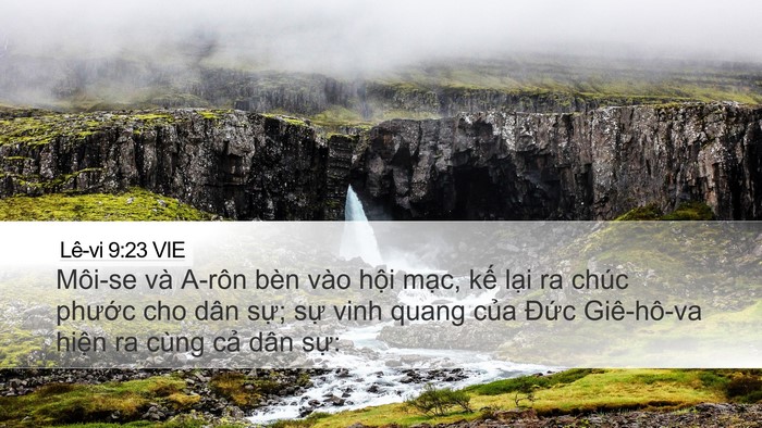 Lê-vi 9:23 VIE Bible Verse Image