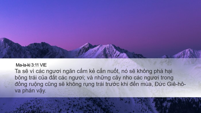 Ma-la-ki 3:11 VIE Desktop Wallpaper - Ta sẽ vì các ngươi ngăn cấm kẻ cắn - Desktop Bible Verse Wallpaper
