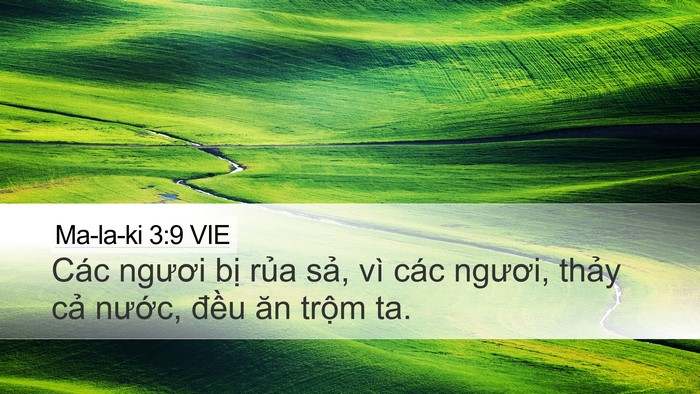 Ma-la-ki 3:9 VIE Bible Verse Image