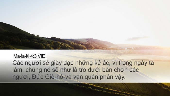 Ma-la-ki 4:3 VIE Bible Verse Image