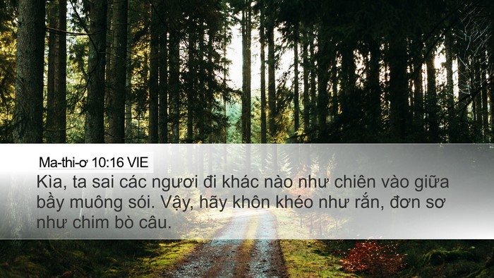 Ma-thi-ơ 10:16 VIE Bible Verse Image